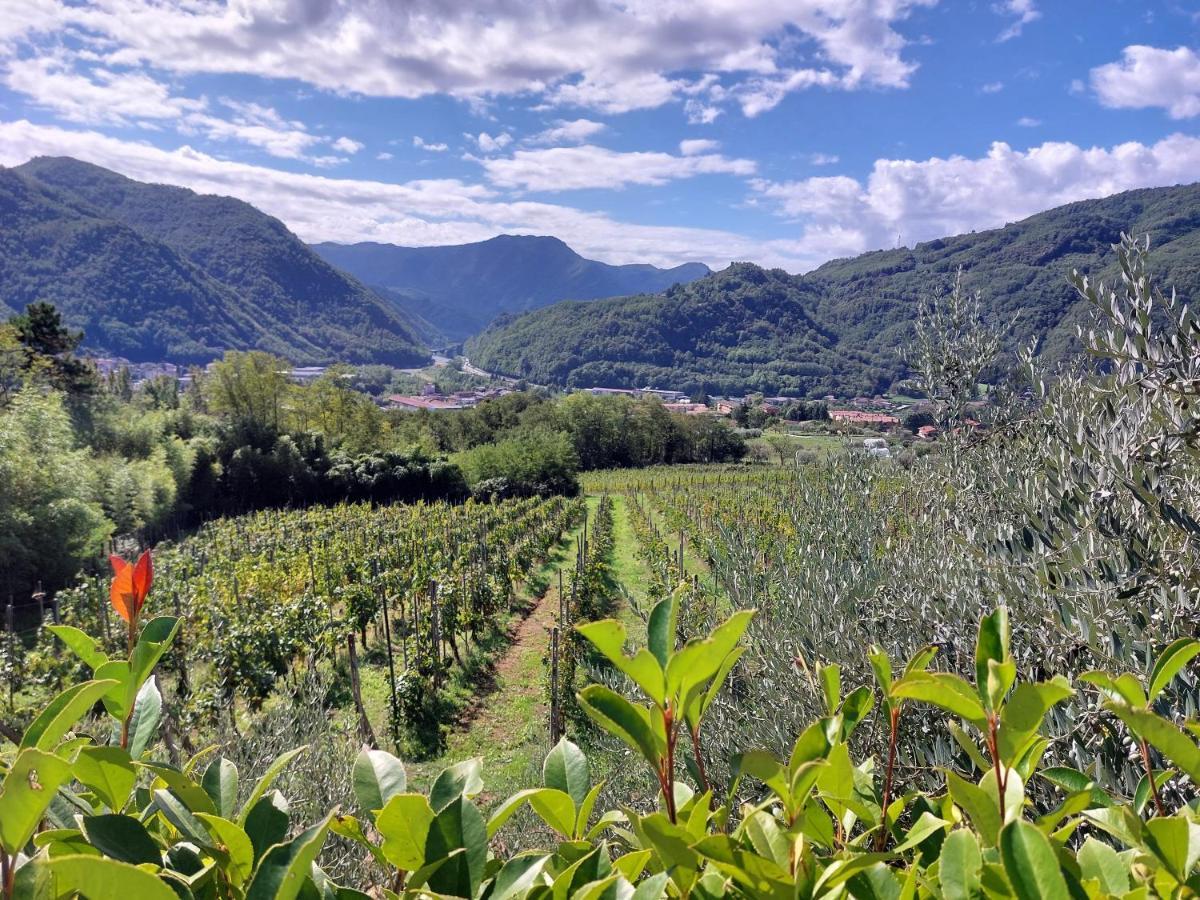 Agriturismo Tenuta La Fratta Bagni di Lucca Exterior foto
