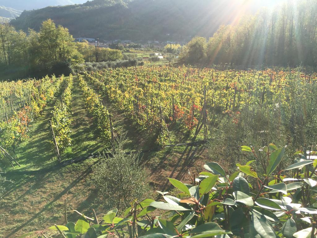 Agriturismo Tenuta La Fratta Bagni di Lucca Exterior foto