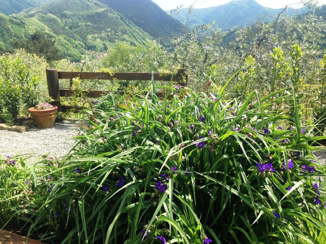 Agriturismo Tenuta La Fratta Bagni di Lucca Exterior foto